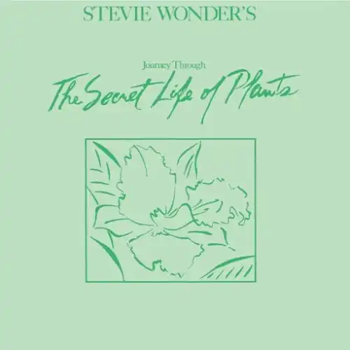 Stevie Wonder – Journey Through The Secret Life Of Plants